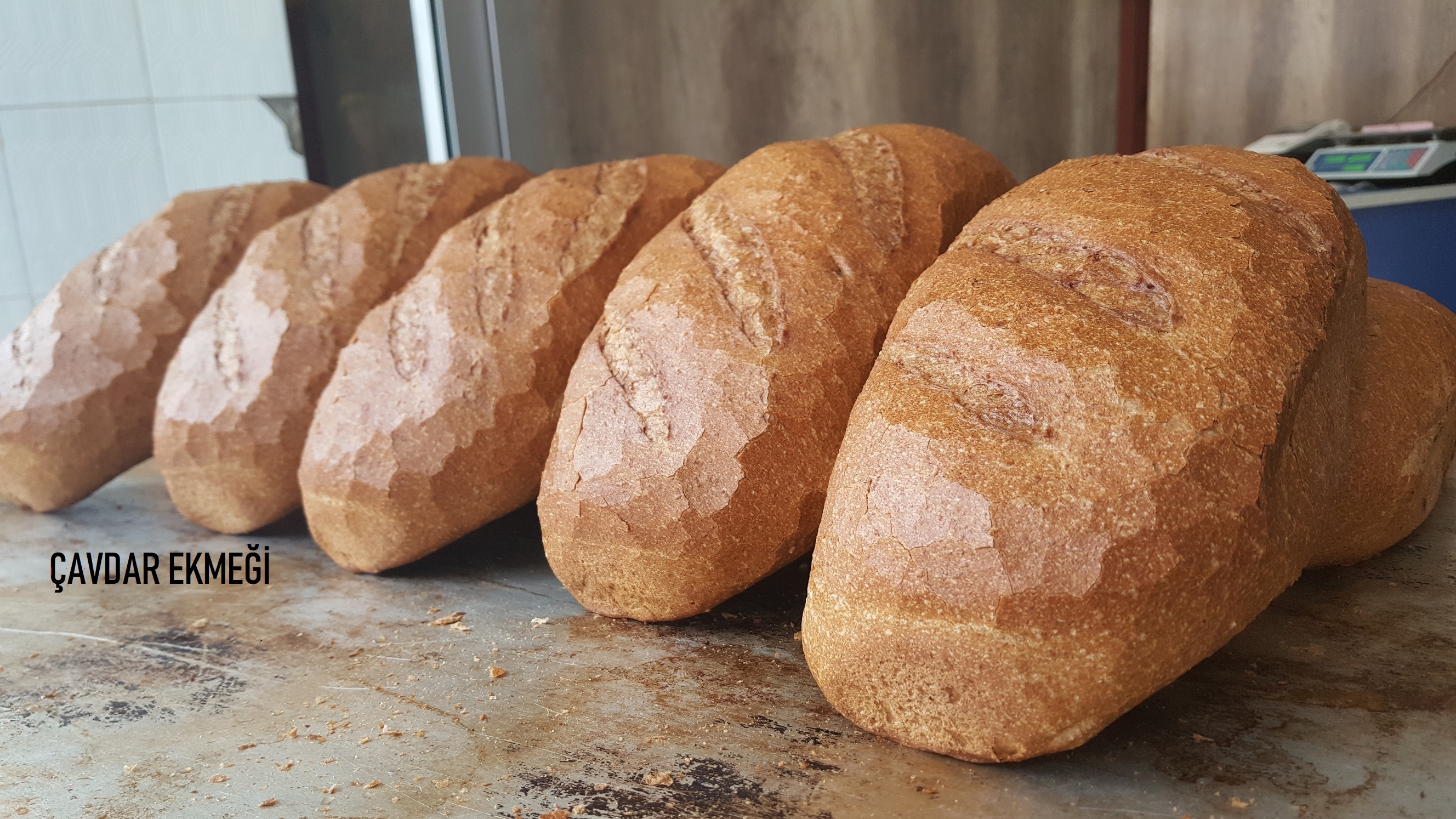 EKMEK ÇEŞİTLERİ