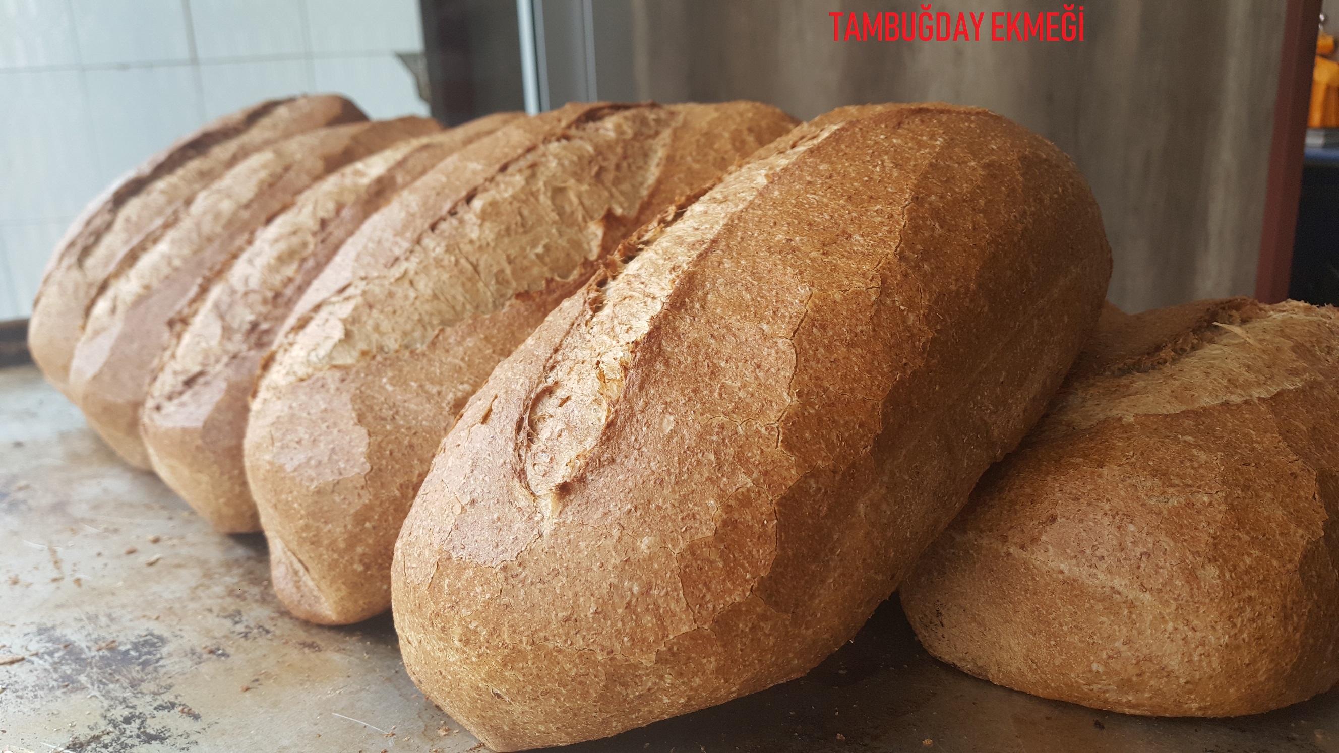 EKMEK ÇEŞİTLERİ