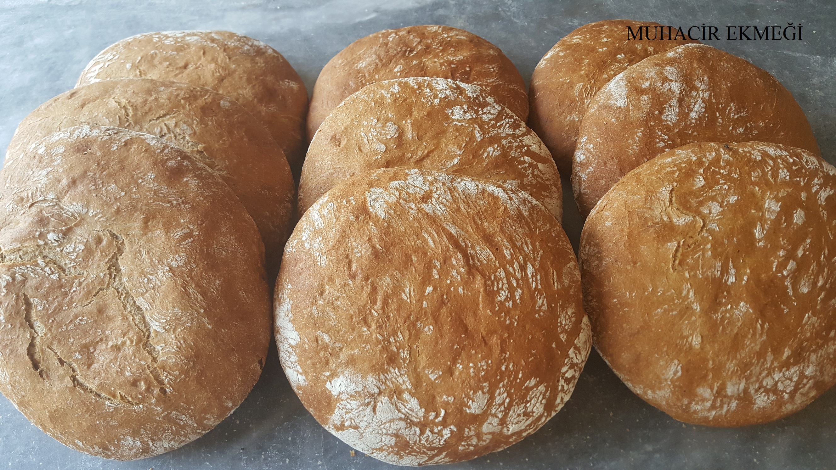 EKMEK ÇEŞİTLERİ
