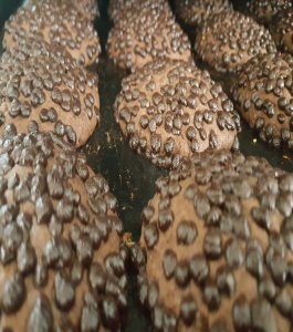 ÇİKOLATALI DAMLALI